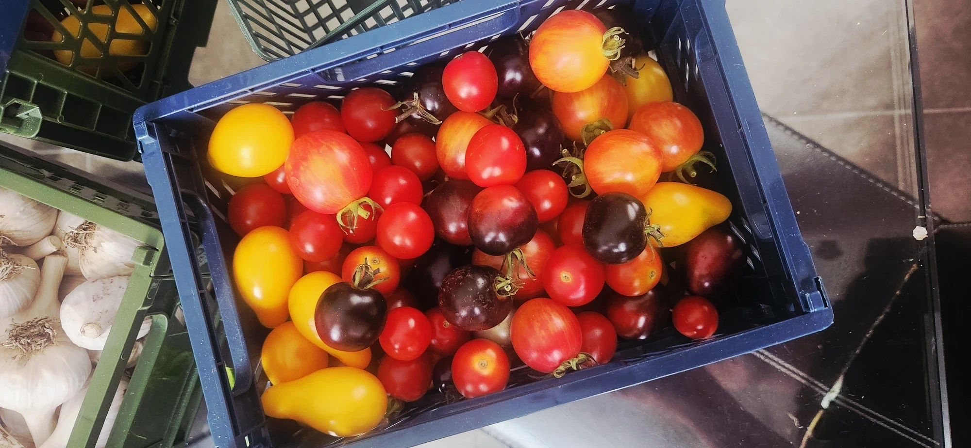 Mixed Variety Cherry Tomatoes