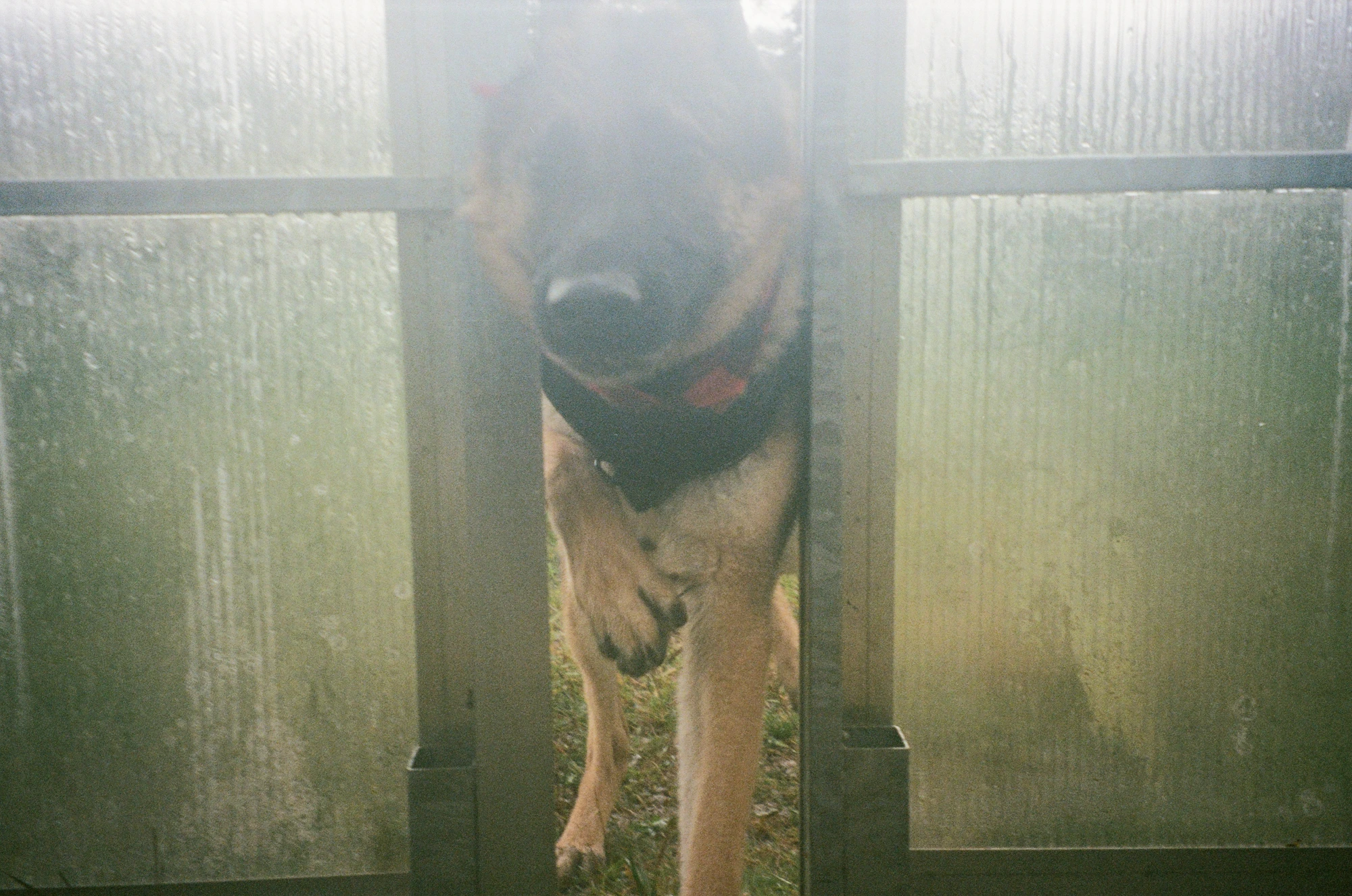 Harley on greenhouse security