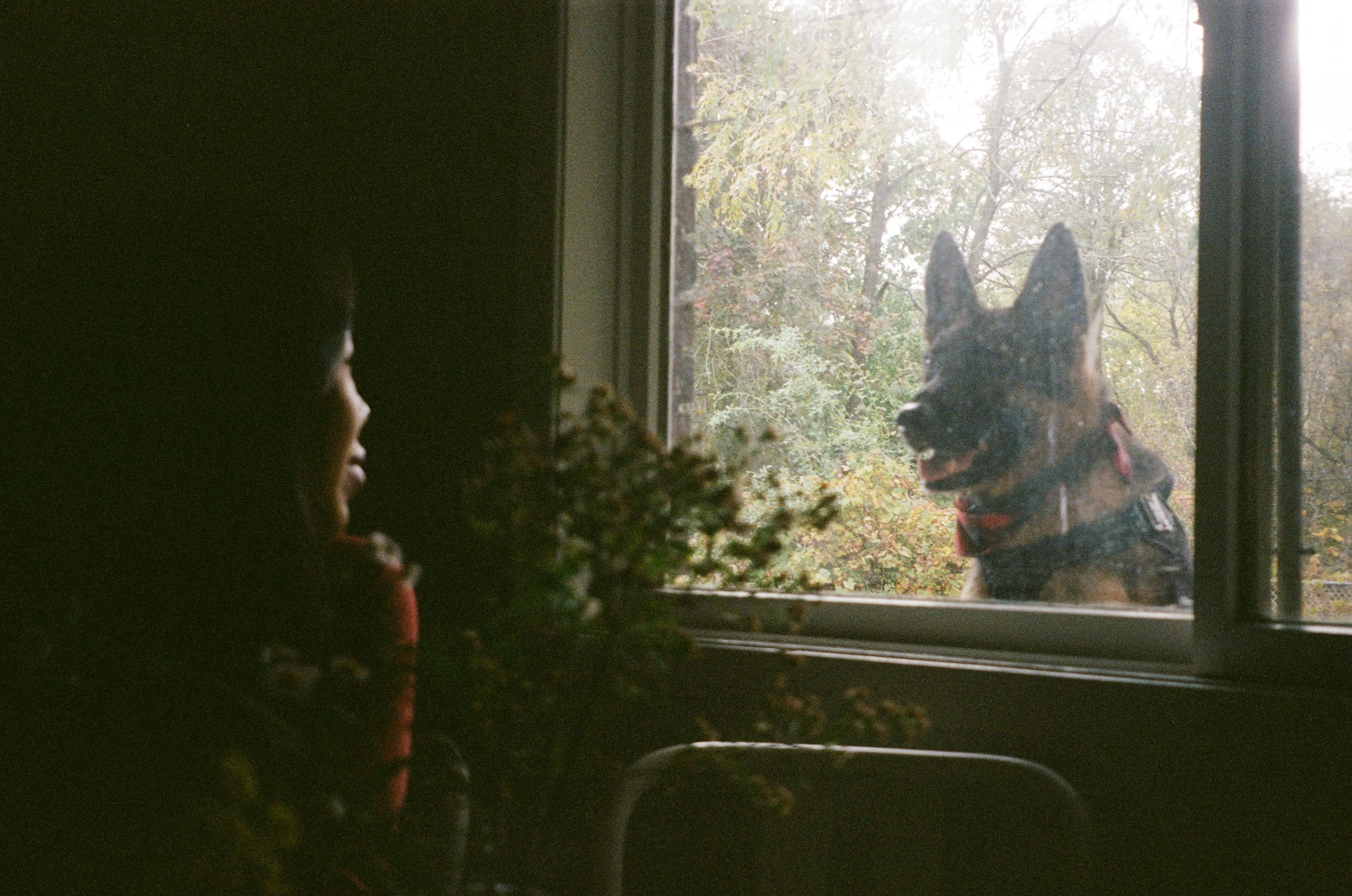 Negotiations at the window
