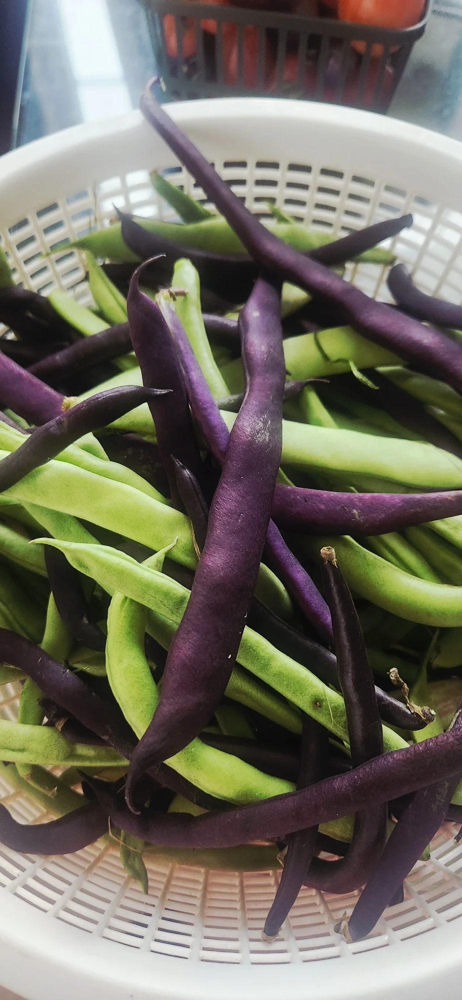Purple and Green Bean Mix